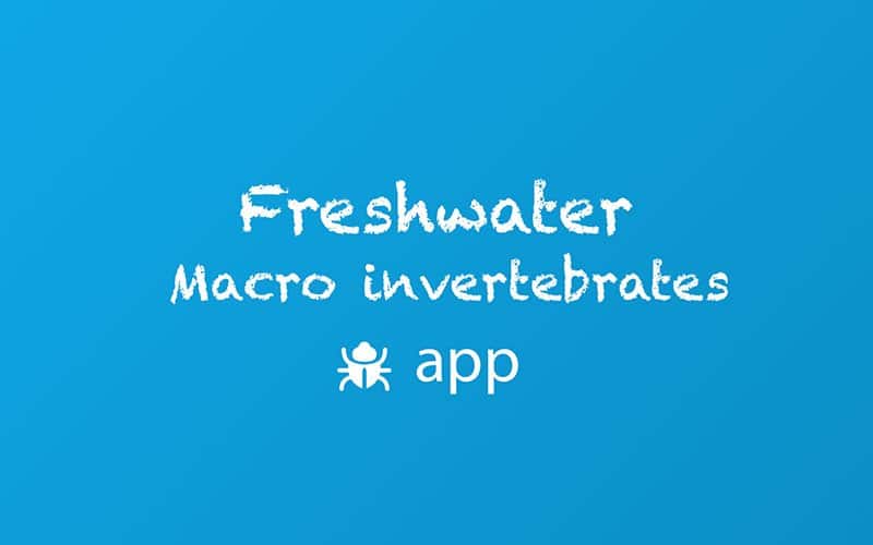 Freshwater Macroinvertebrates